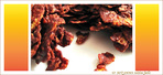 Gteau aux Corn Flakes et Chocolat - Flocons de Mas et Chocolat -- 09/02/11